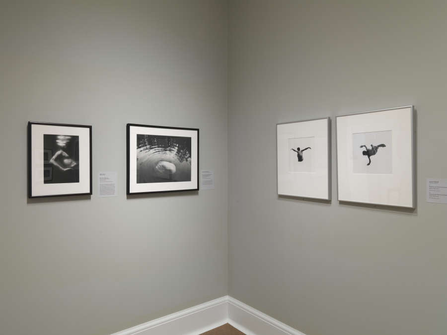 view exhibition image