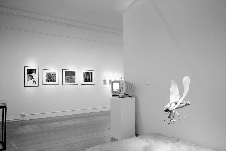 view exhibition image