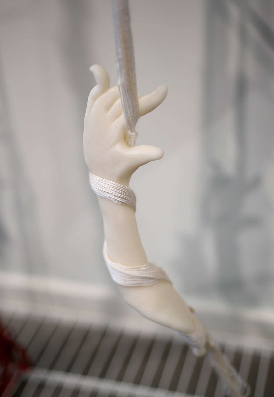 view exhibition image