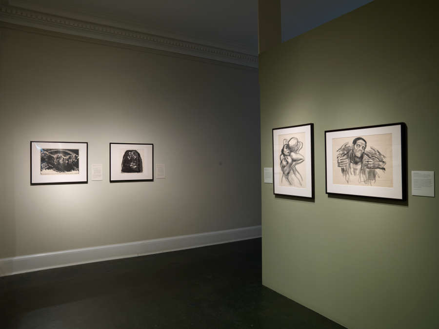 view exhibition image
