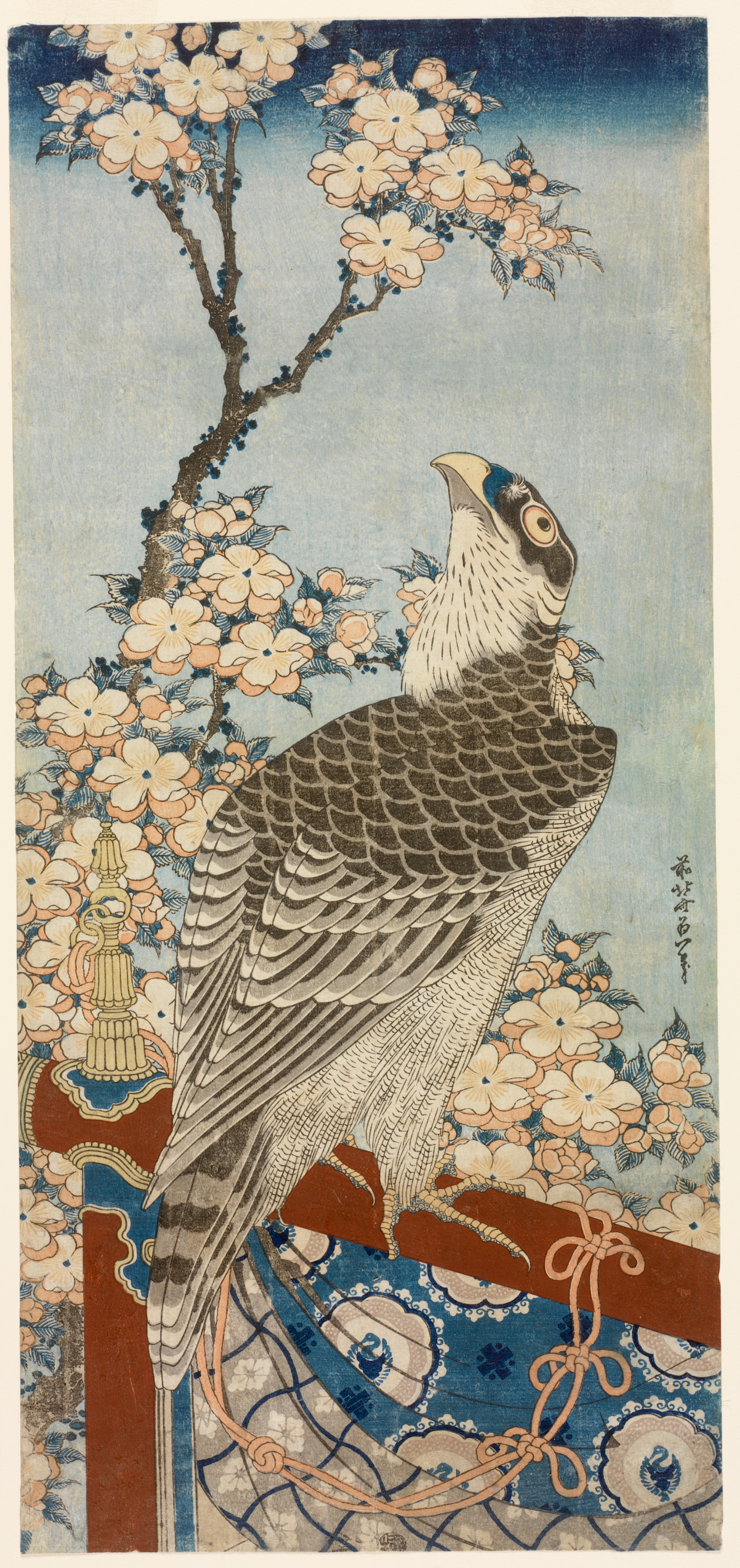 A falcon perched on a red decorative railing with tassels and patterned blue cloth draped from it, framed by white cherry blossoms against a blue sky.