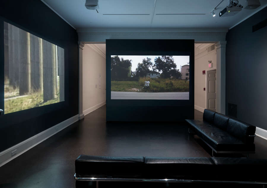 view exhibition image