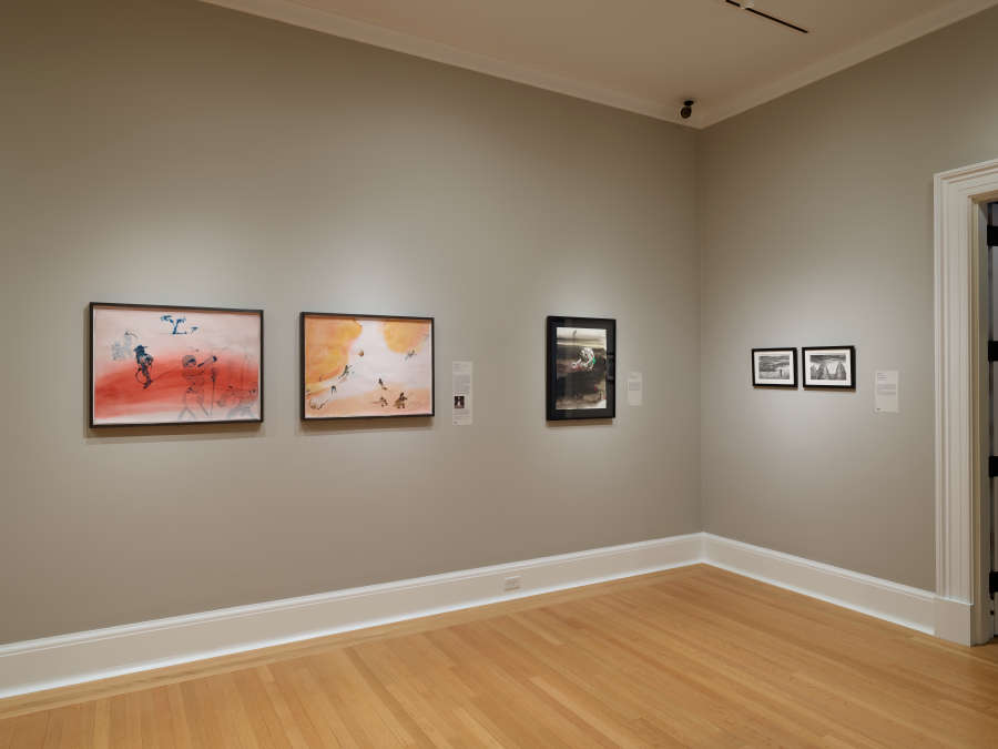 view exhibition image