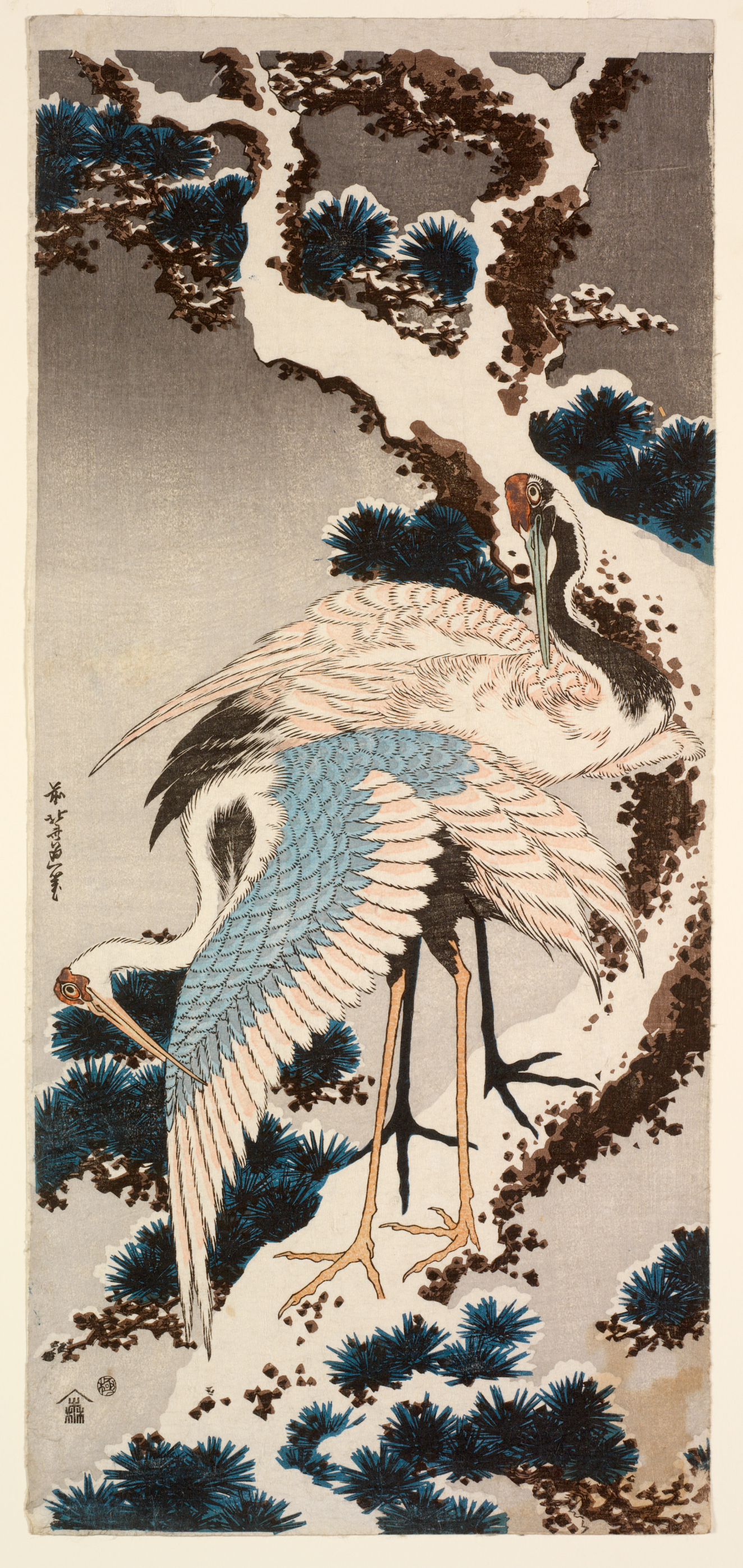 A pair of cranes with white plumage standing atop a sturdy branch with clusters of pine needles dusted in snow, against a gray sky.