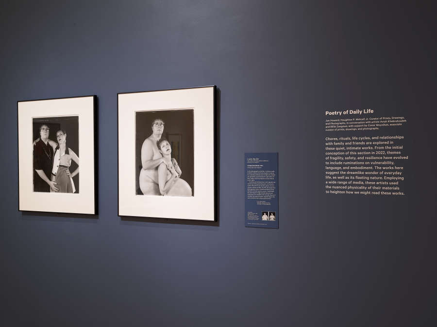 view exhibition image