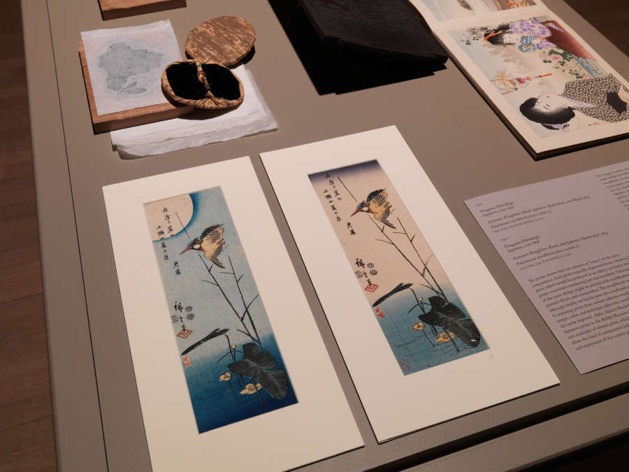 view exhibition image