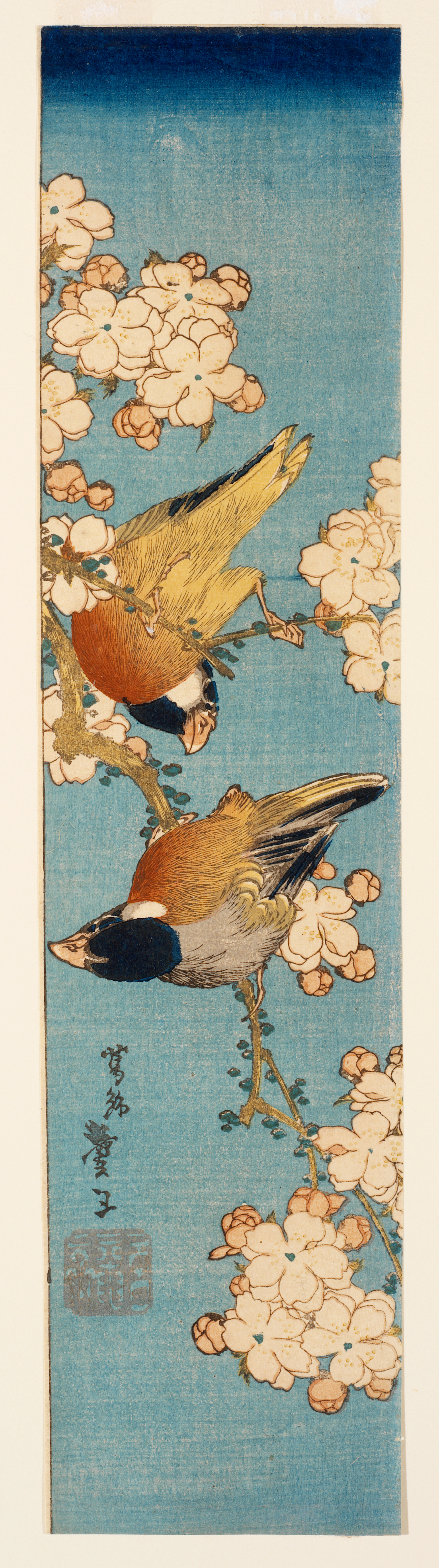 Two yellow birds with black and orange markings perched among pale pink cherry blossoms, accented by vertical calligraphy on a blue background.