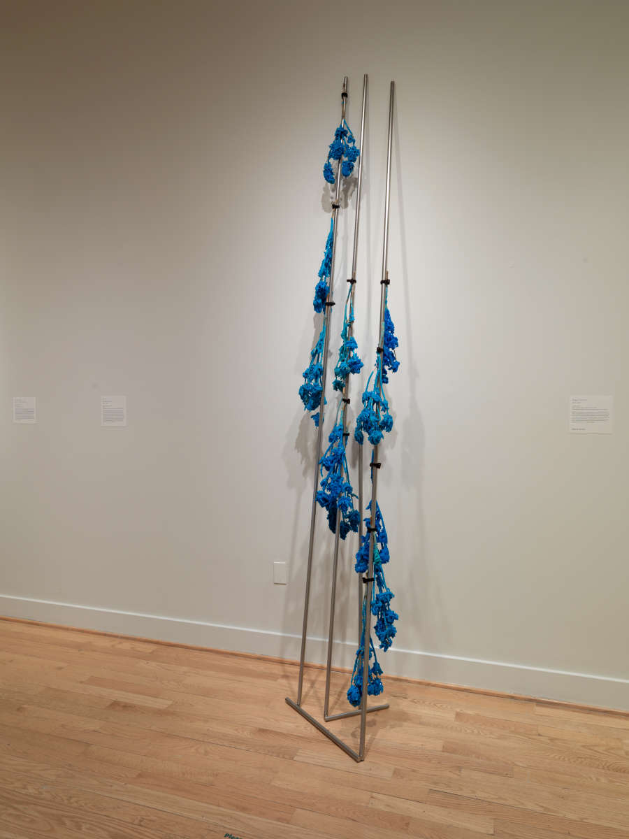 view exhibition image