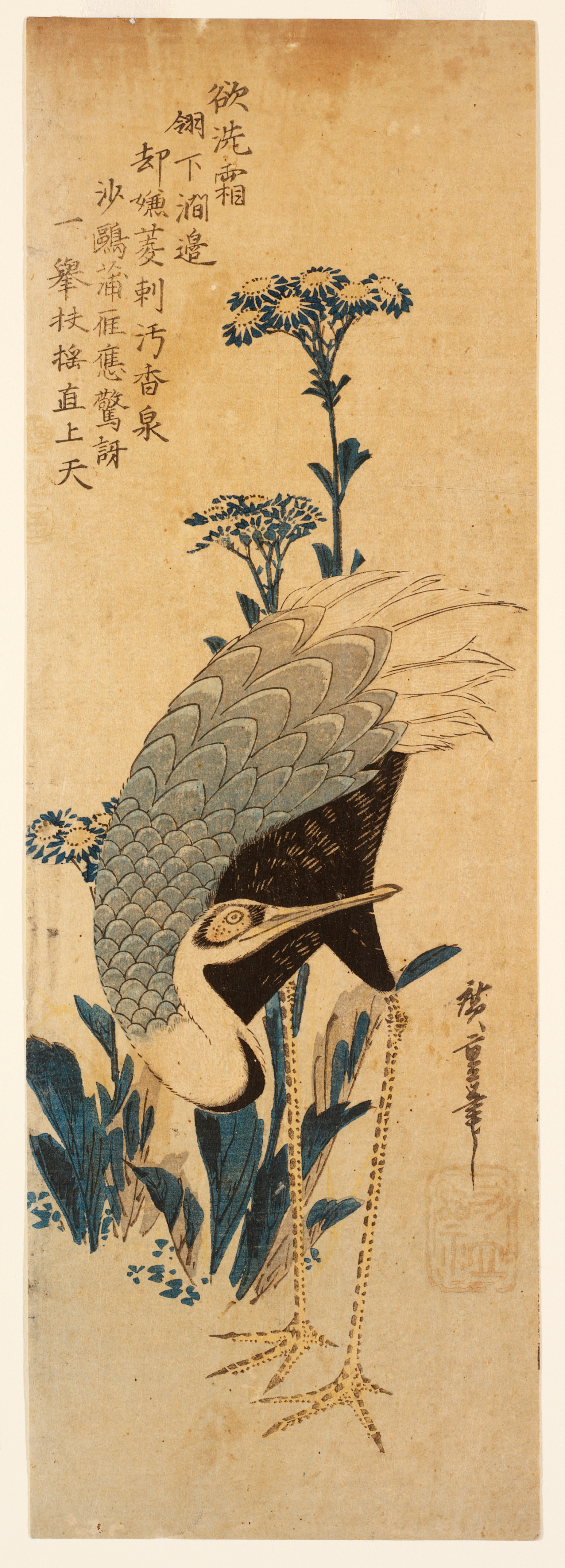 Collection | RISD Museum