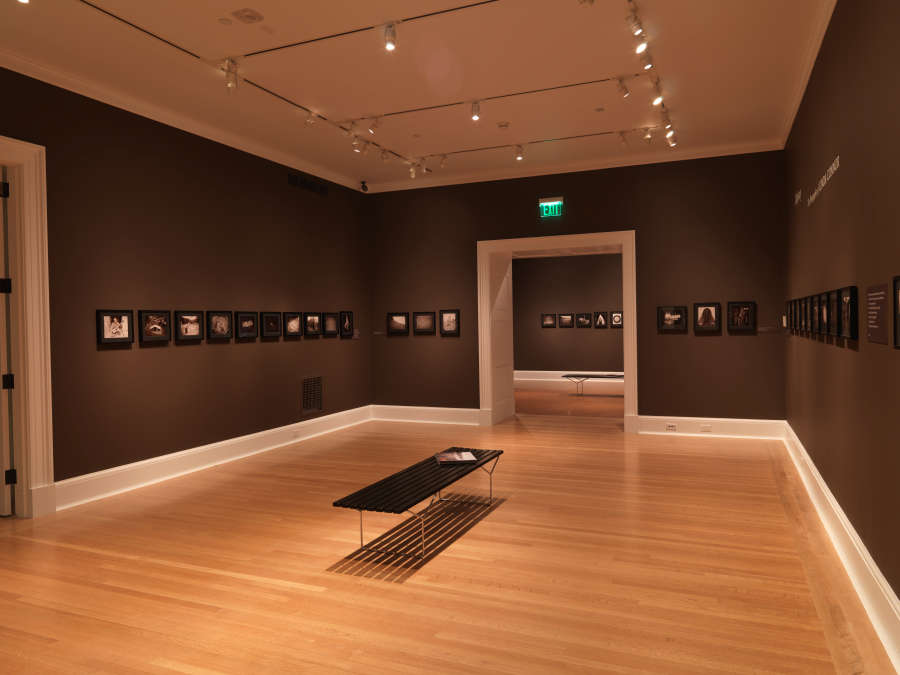 view exhibition image