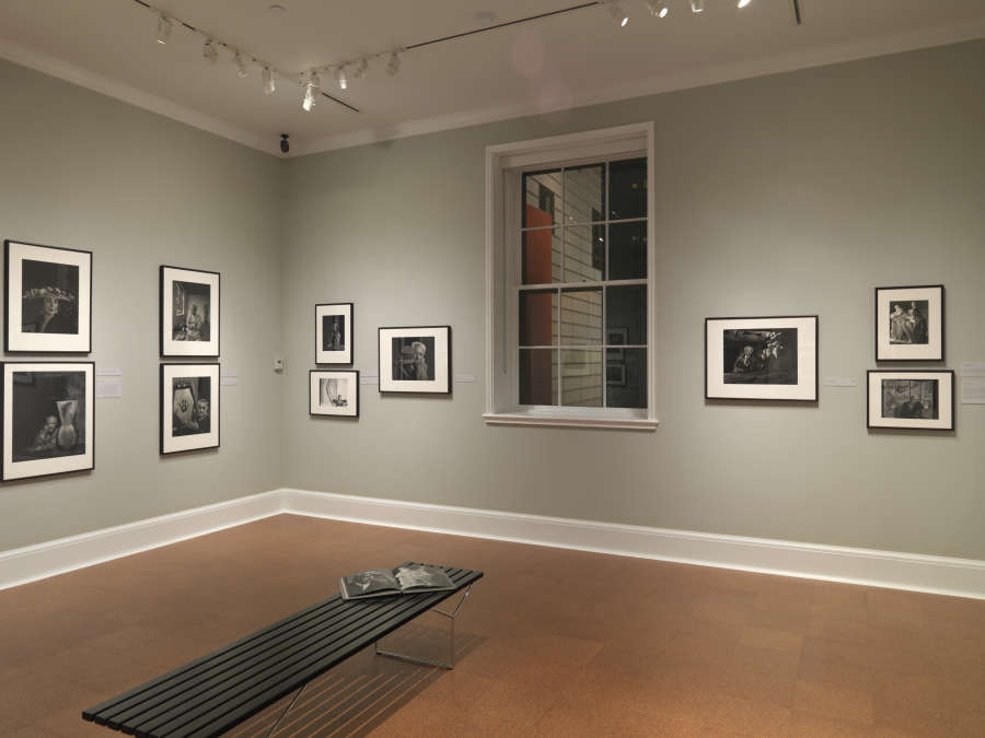 view exhibition image