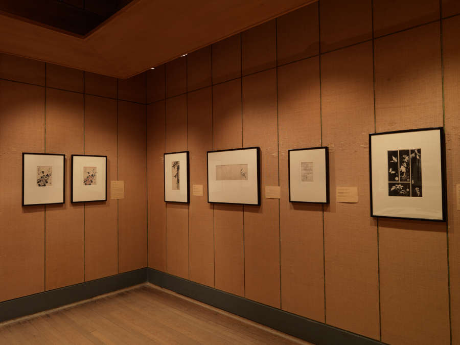 view exhibition image