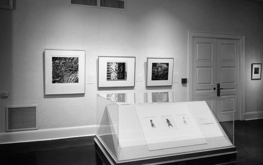 view exhibition image