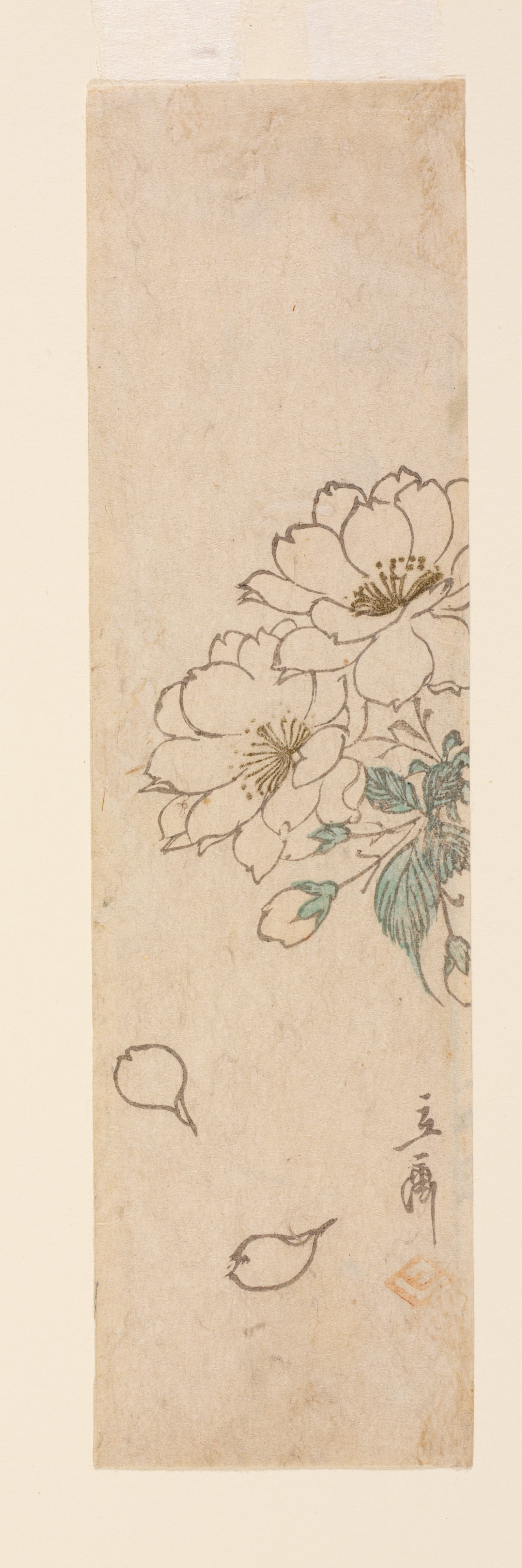 Narrow vertical composition showing blooming white flowers with delicate green leaves and loose petals against a plain background. There’s a very light artists stamp below.