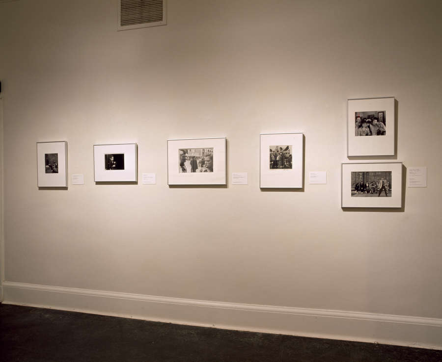 view exhibition image
