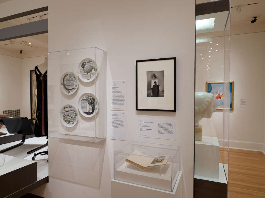 view exhibition image