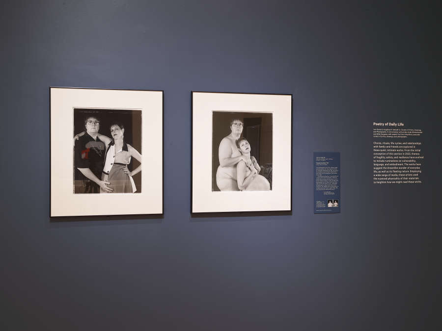 view exhibition image