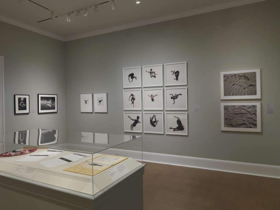 view exhibition image