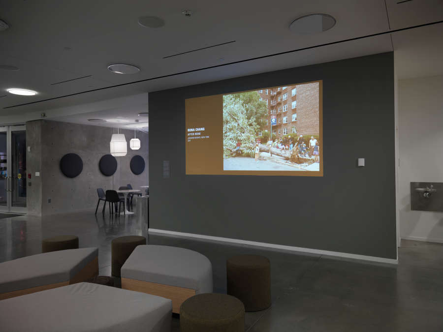 view exhibition image