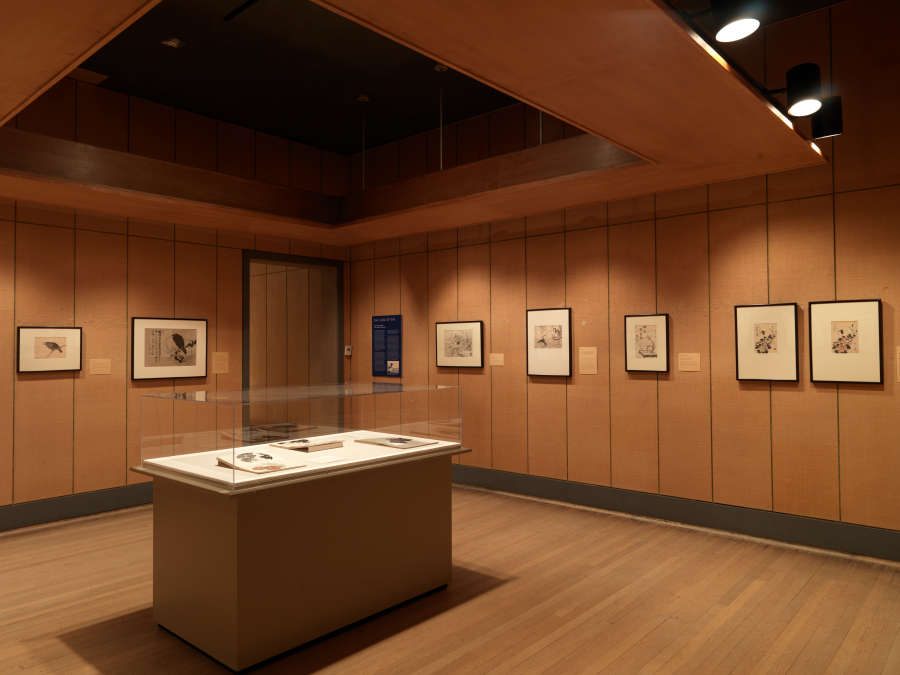 view exhibition image