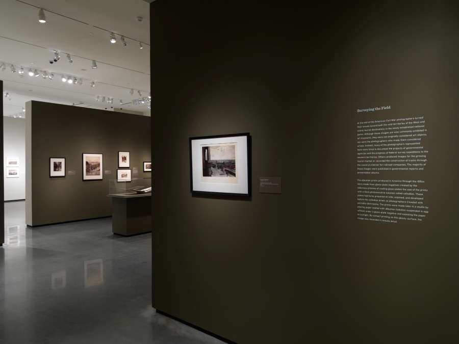 view exhibition image