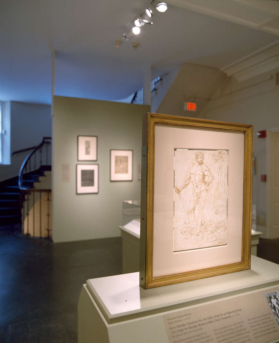 view exhibition image