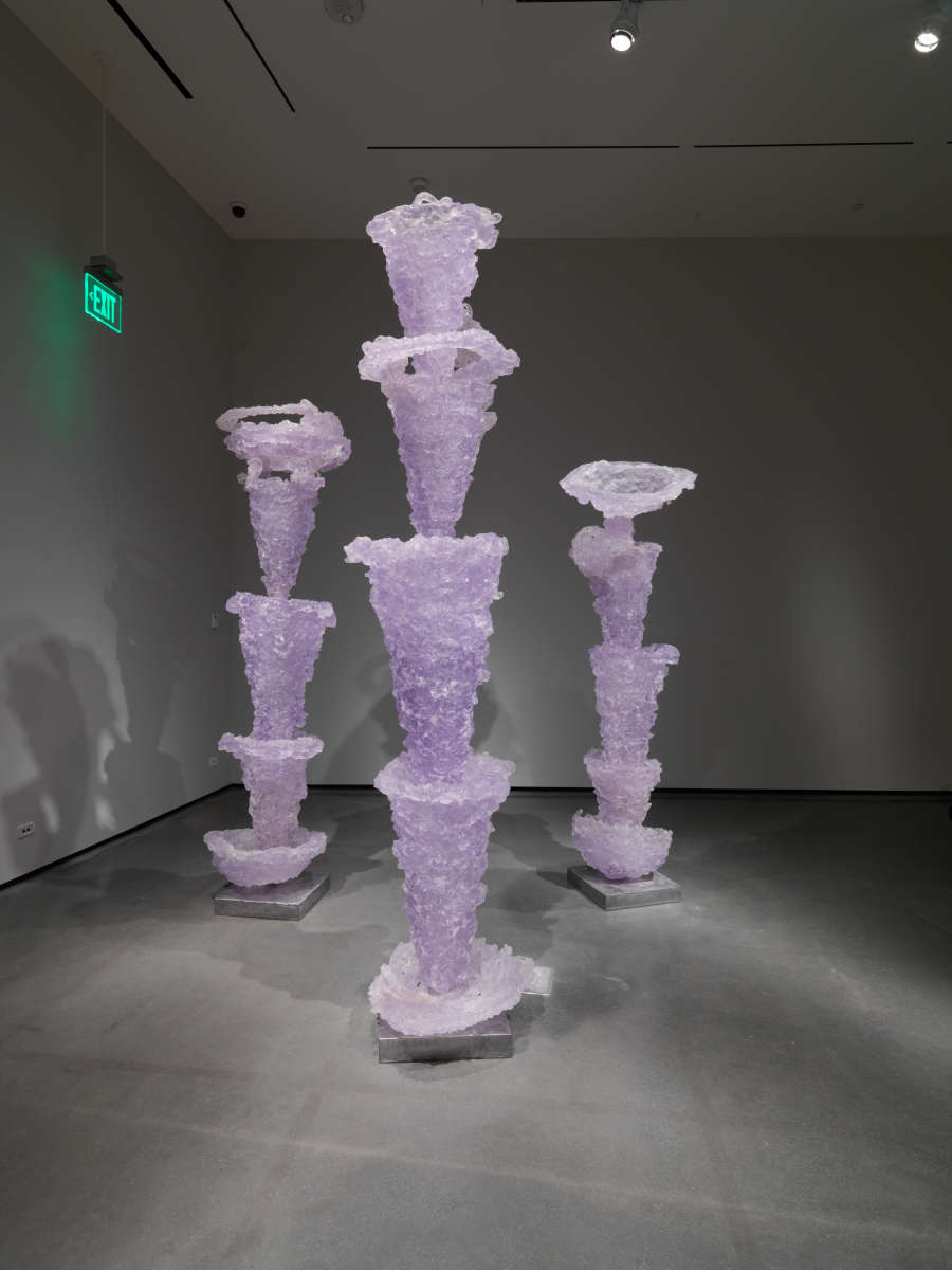 view exhibition image