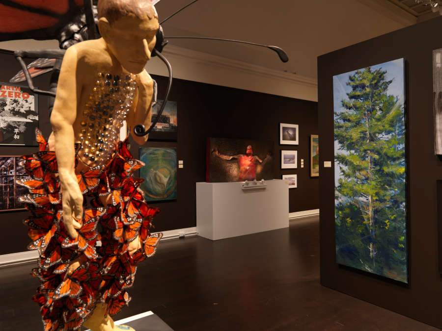 view exhibition image