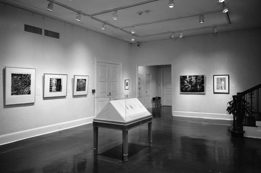 view exhibition image