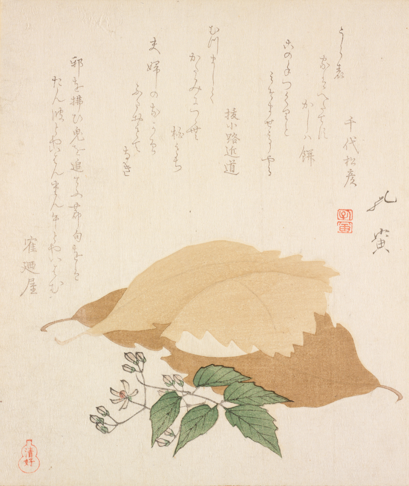 Woodblock print of two sushi topped adorned with tan leaves served on a large brown leaf. A small leafy twig completes the arrangement. Handwritten text occupies the space above it.