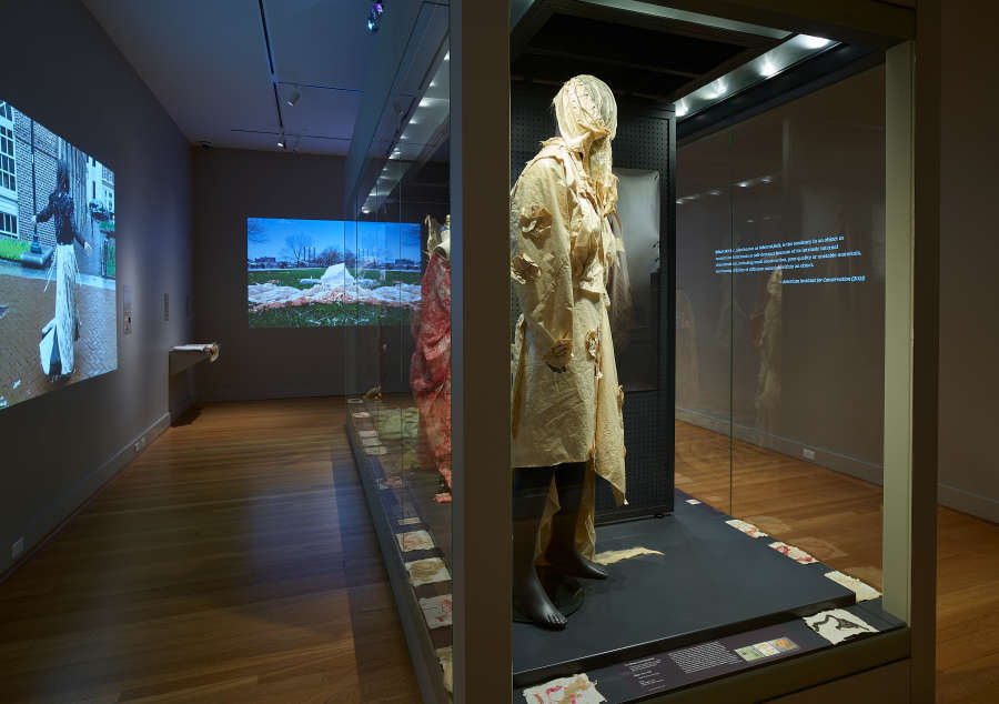 view exhibition image