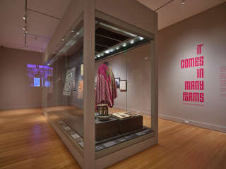 A large case stands in a light-gray gallery with wooden floors. Inside the case are a number of textiles. Magenta text on the wall says: “It Comes in Many Forms” 