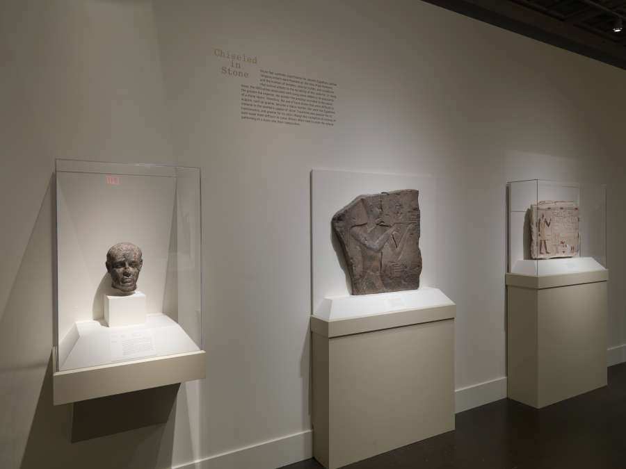 view exhibition image