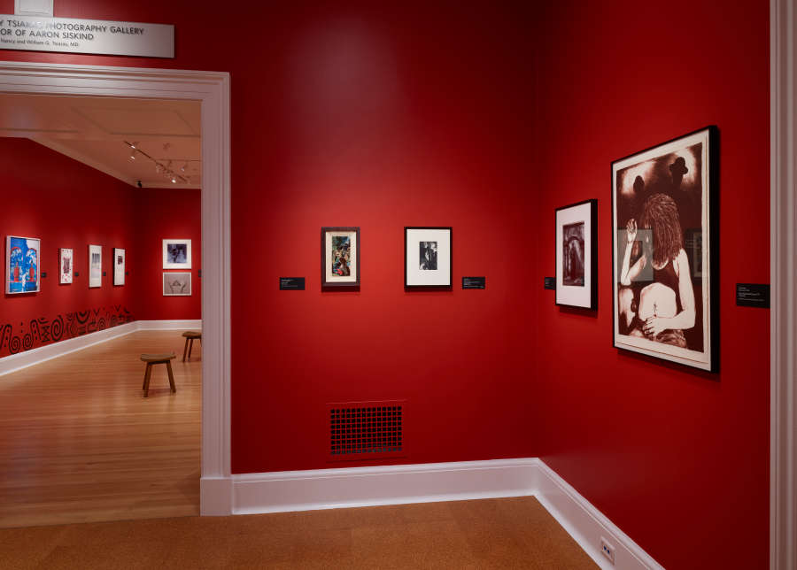 view exhibition image