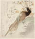A pheasant with long tail feathers standing on a grassy slope in front of a shrub with pale orange blossoms, accented by calligraphy inscriptions that fill the off-white background.