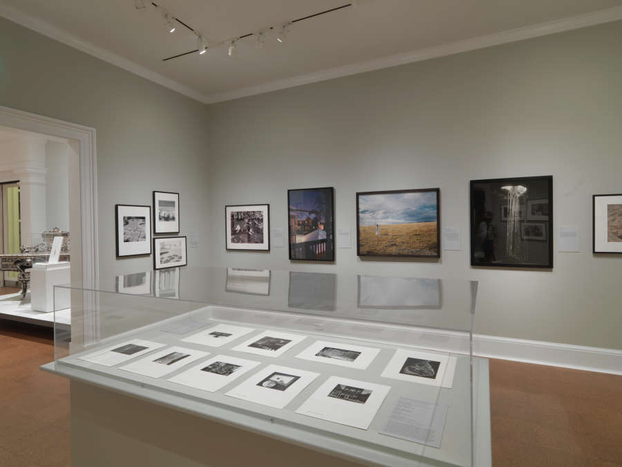 view exhibition image