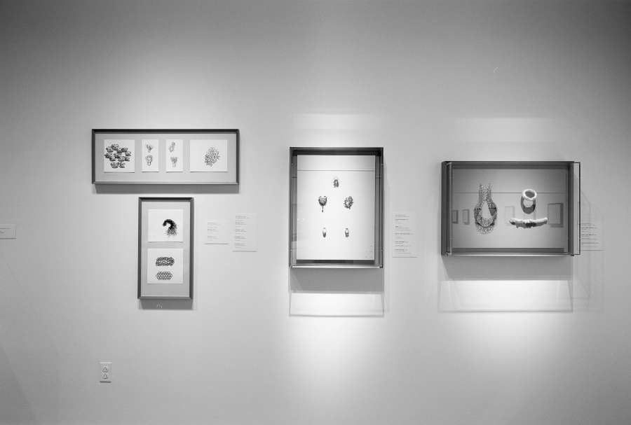 view exhibition image