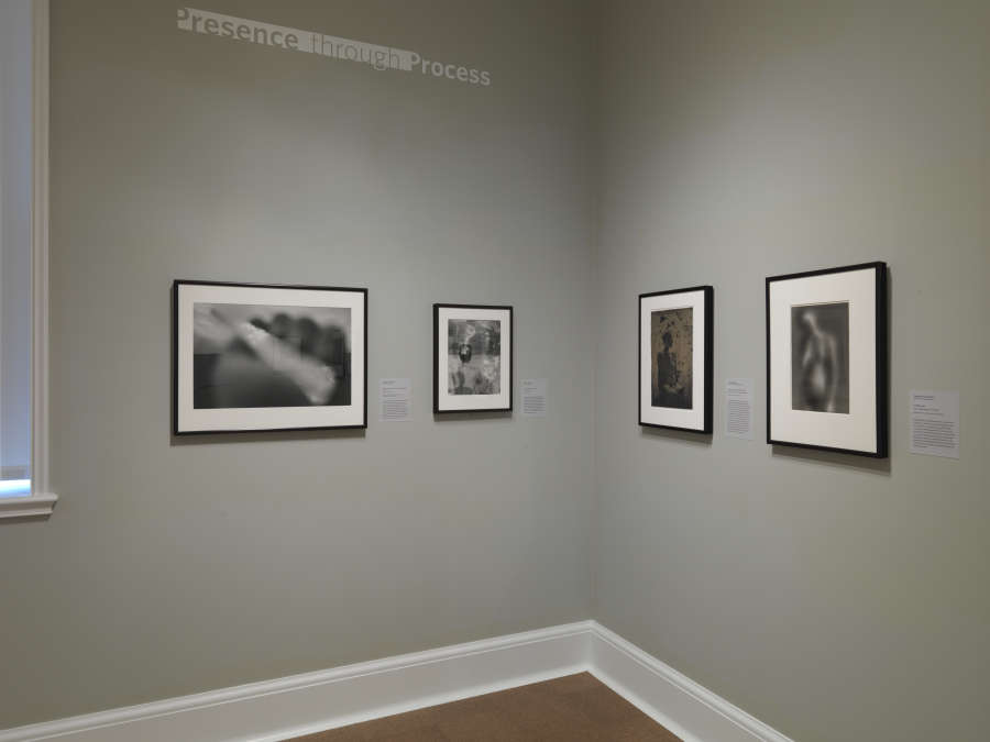 view exhibition image