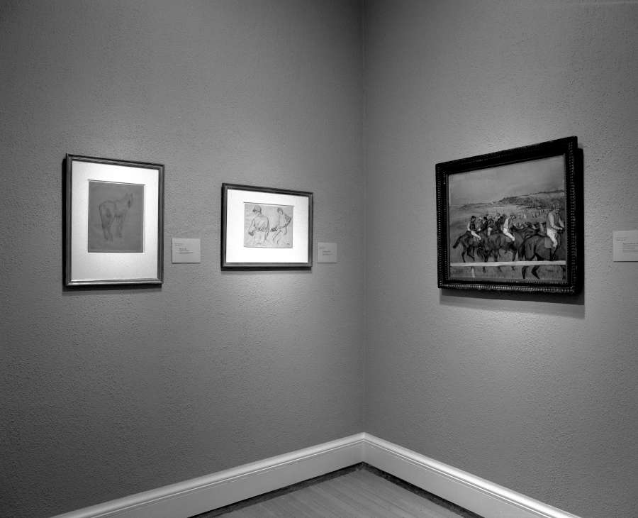 view exhibition image