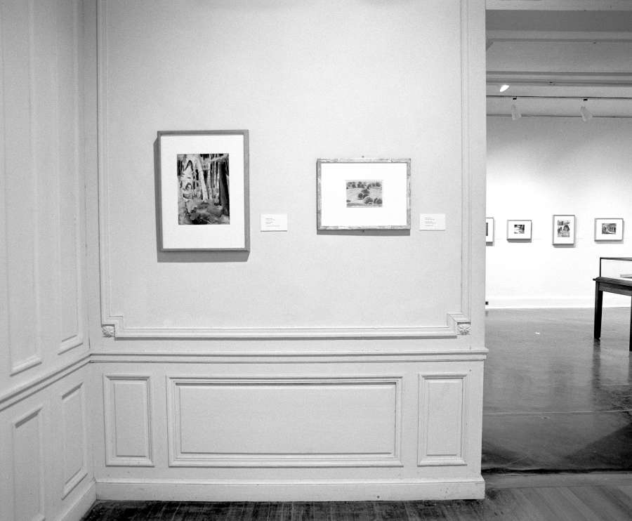 view exhibition image