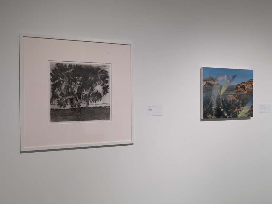 view exhibition image