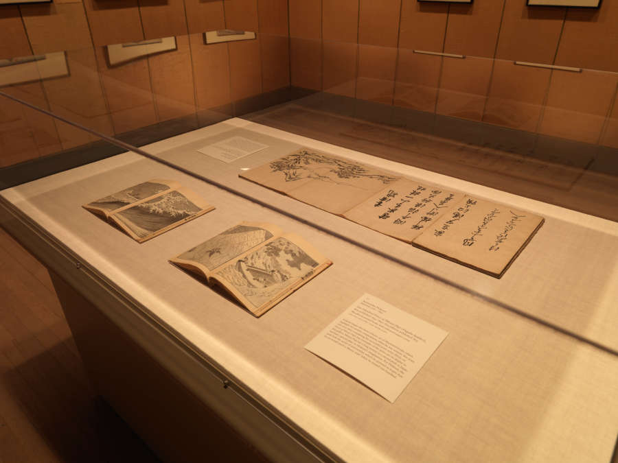 view exhibition image