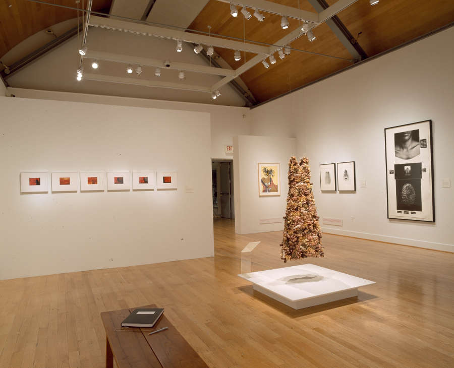 view exhibition image