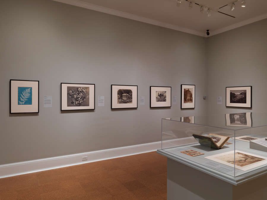 view exhibition image