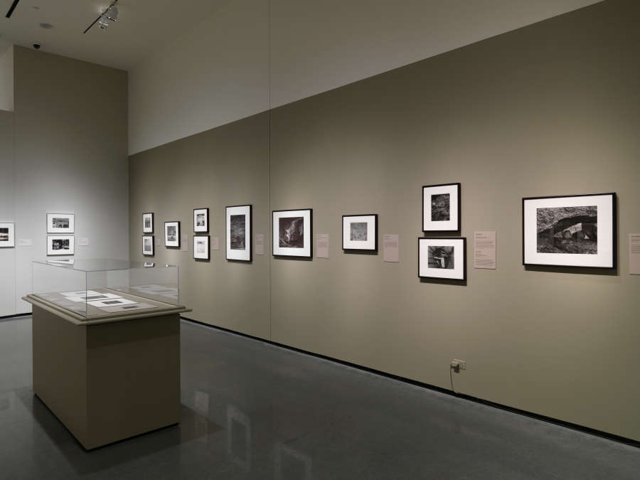 view exhibition image