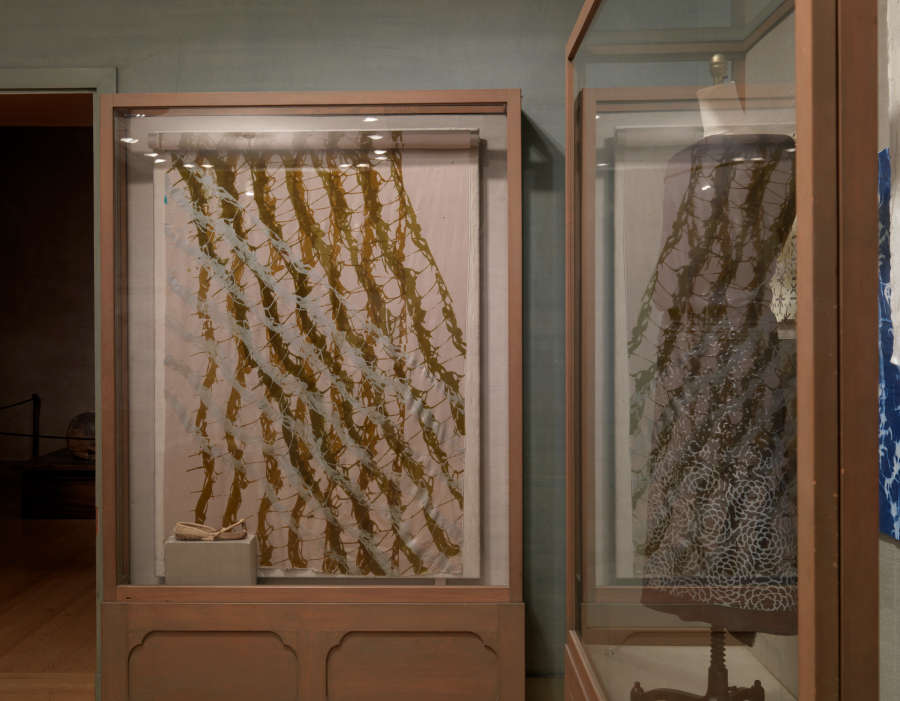 view exhibition image