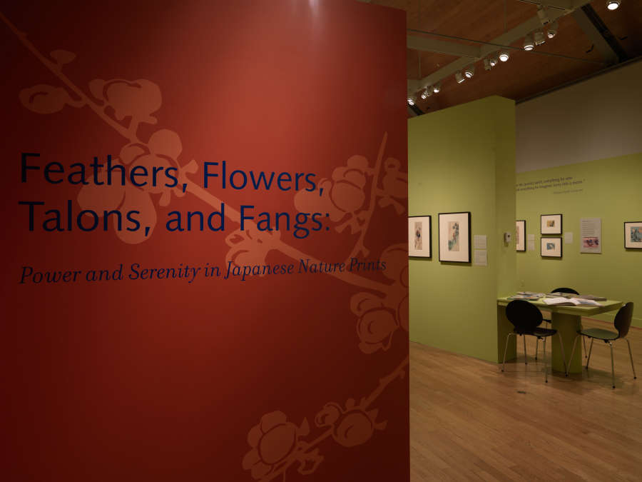 view exhibition image