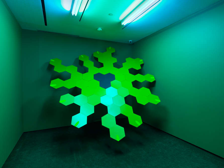 view exhibition image