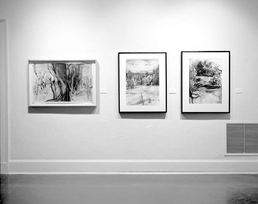 view exhibition image