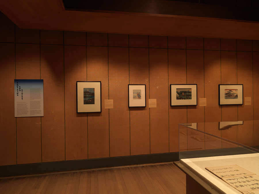 view exhibition image